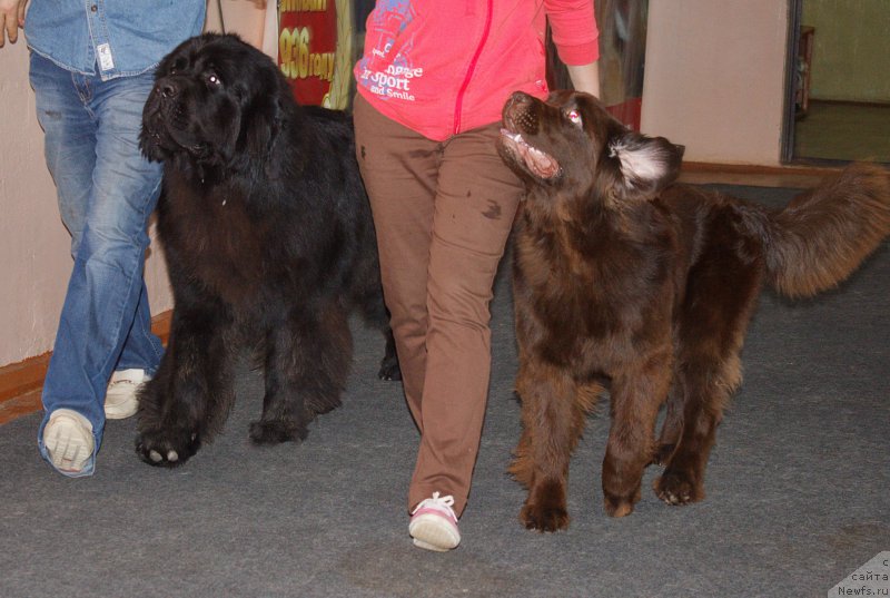 Фотография № 186089