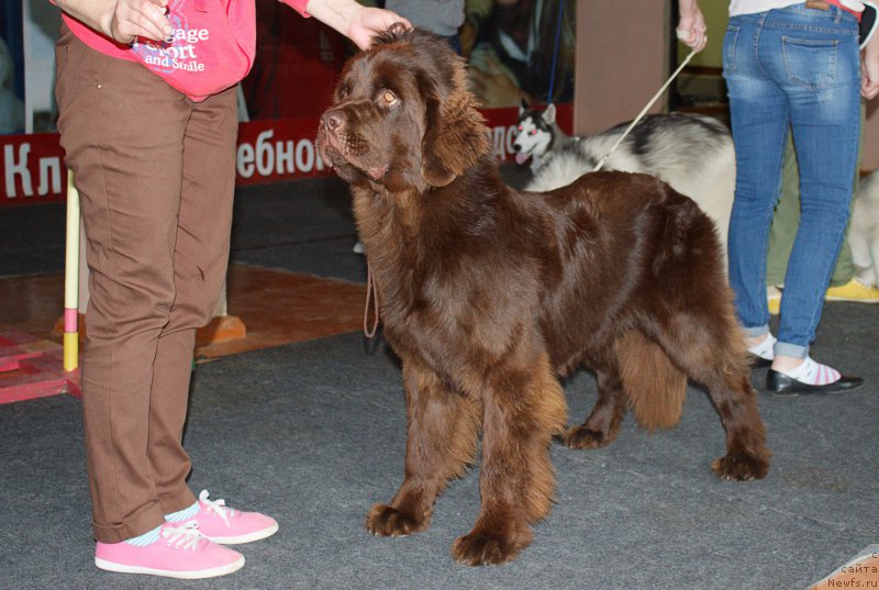 Фотография № 186090