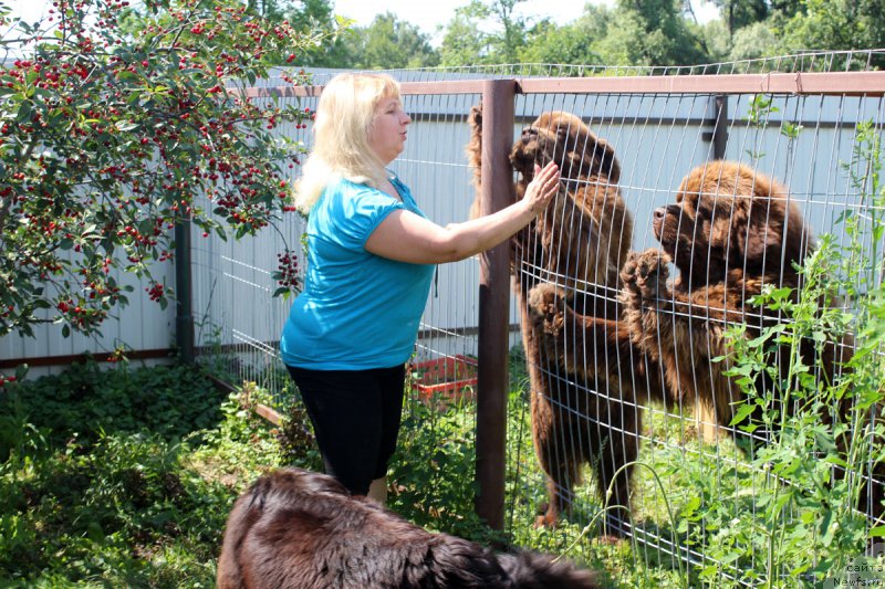 Фотография № 186097