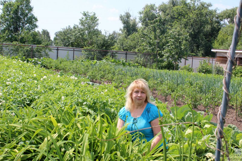 Фото: Елена Кузина