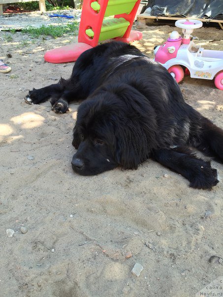 Фотография № 186109