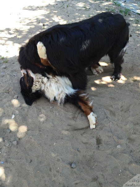 Фотография № 186110