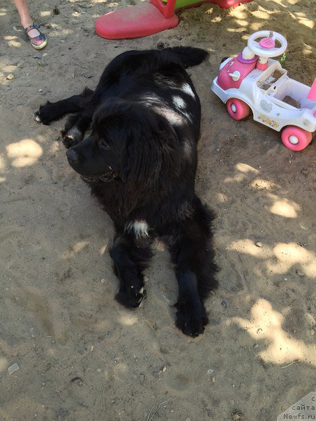 Фотография № 186111