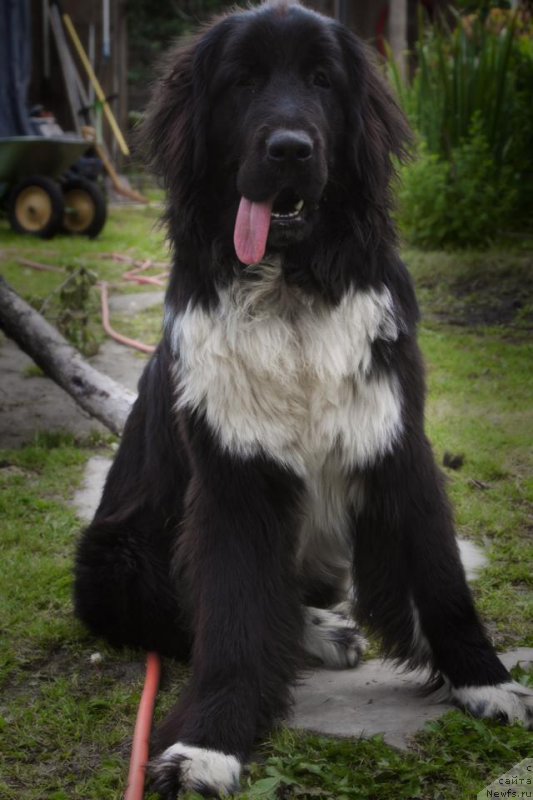 Фотография № 186119