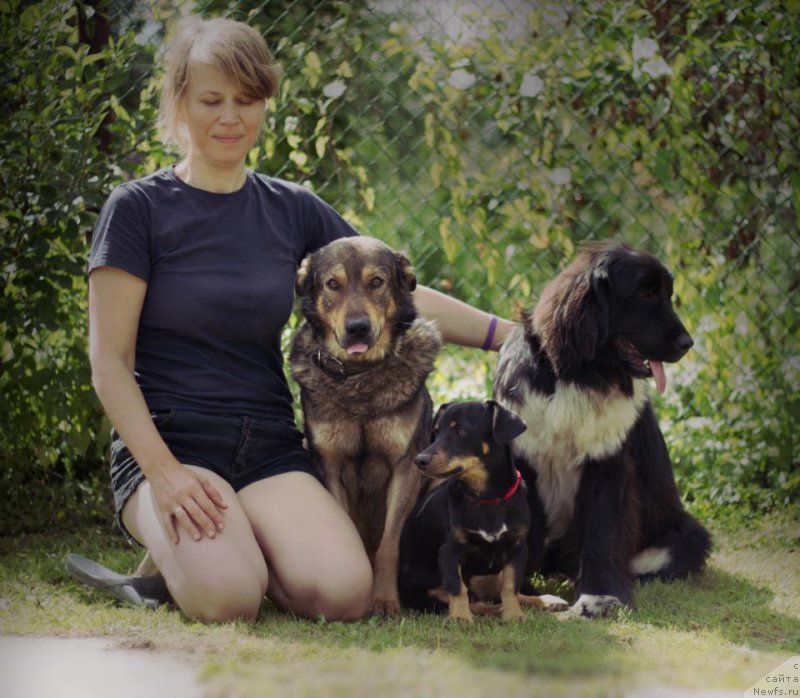 Фотография № 186121