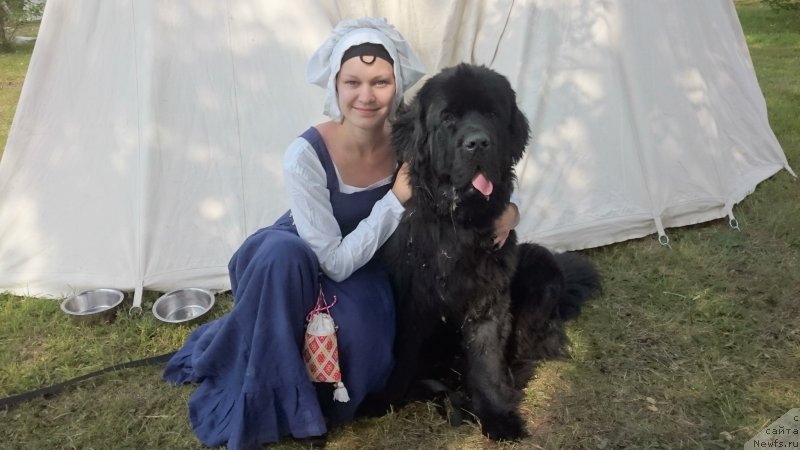 Фотография № 186125