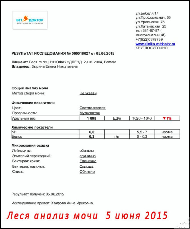 Фотография № 186146