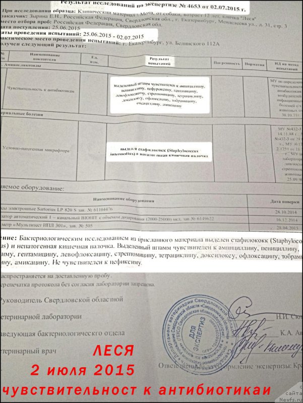 Фотография № 186147