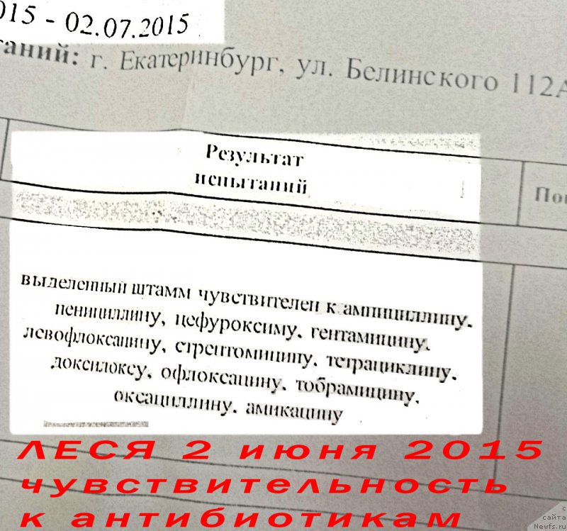 Фотография № 186148