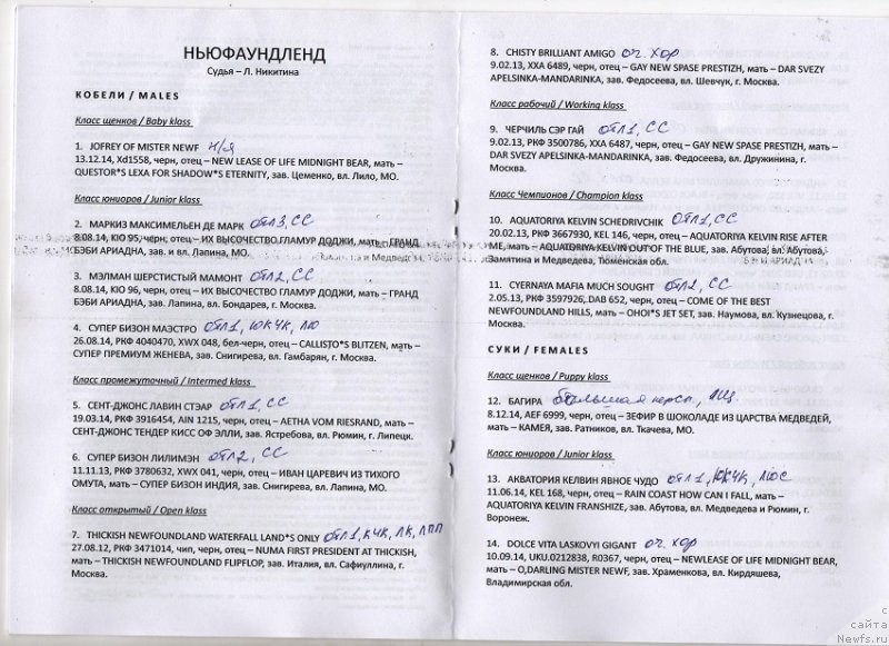 Фотография № 186171