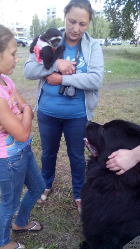 Фотография № 186182