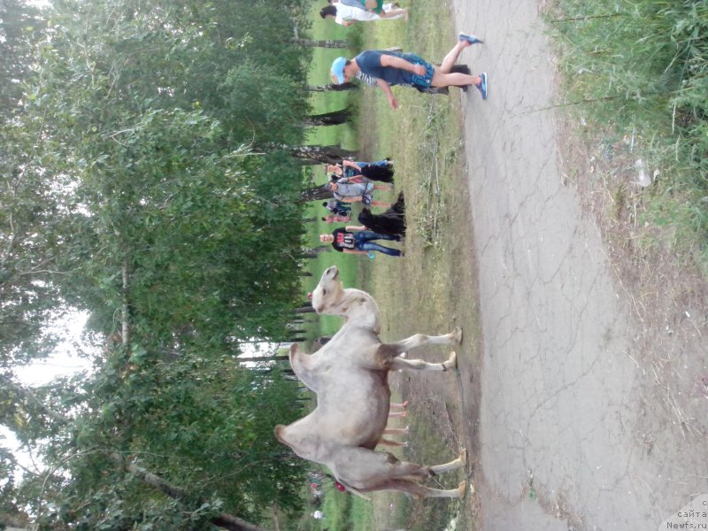 Фотография № 186184