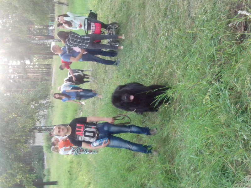 Фотография № 186186