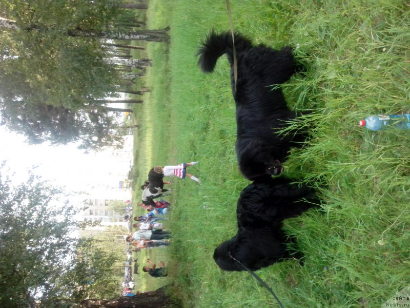 Фотография № 186187