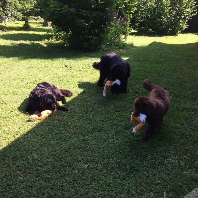 Фотография № 186189