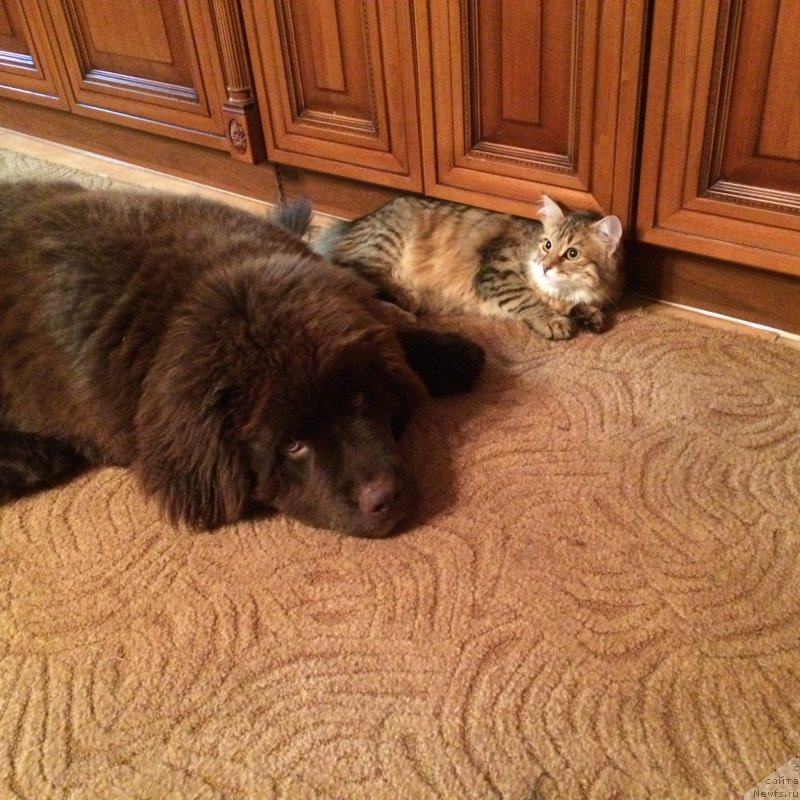 Фотография № 186191