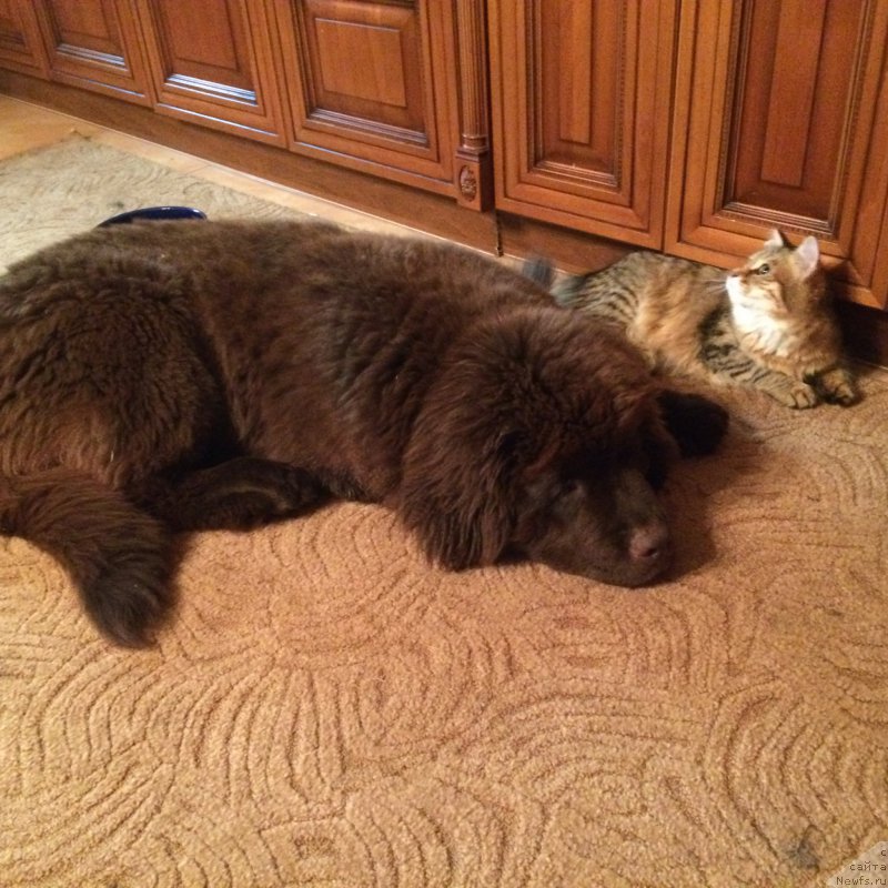 Фотография № 186193