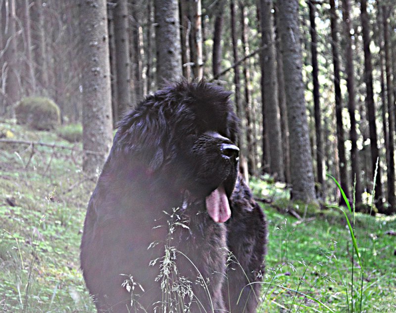 Фотография № 186201