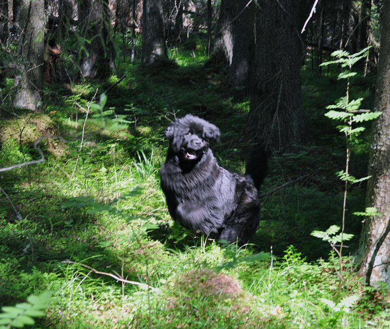 Фотография № 186202