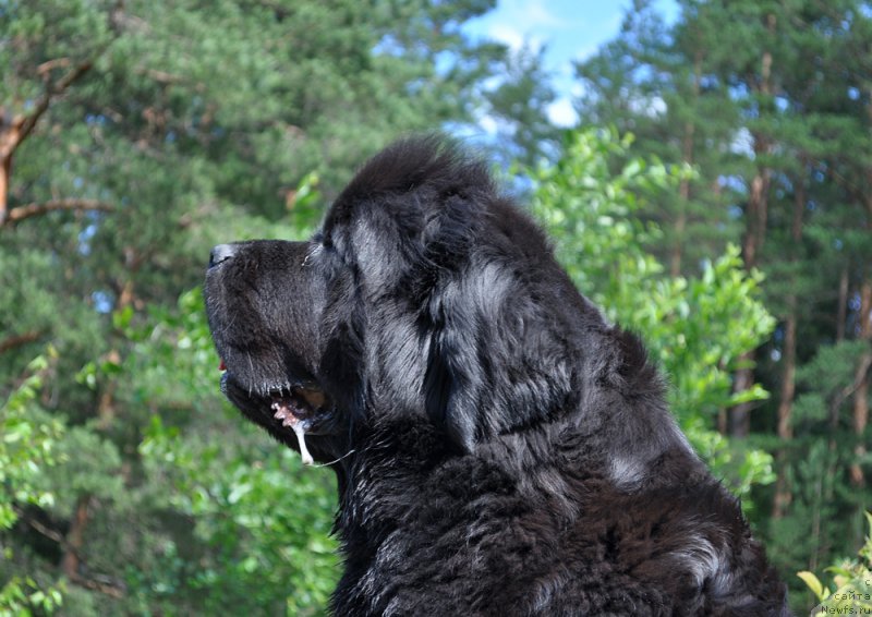 Фотография № 186204