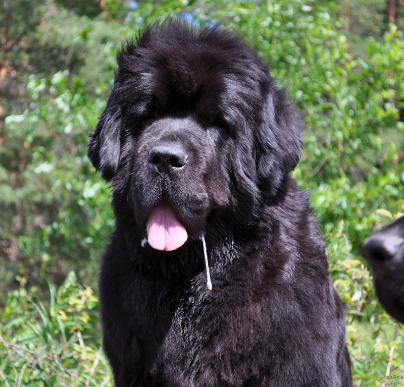 Фотография № 186205