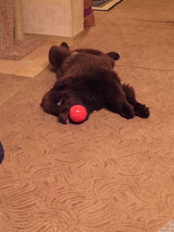 Фотография № 186207