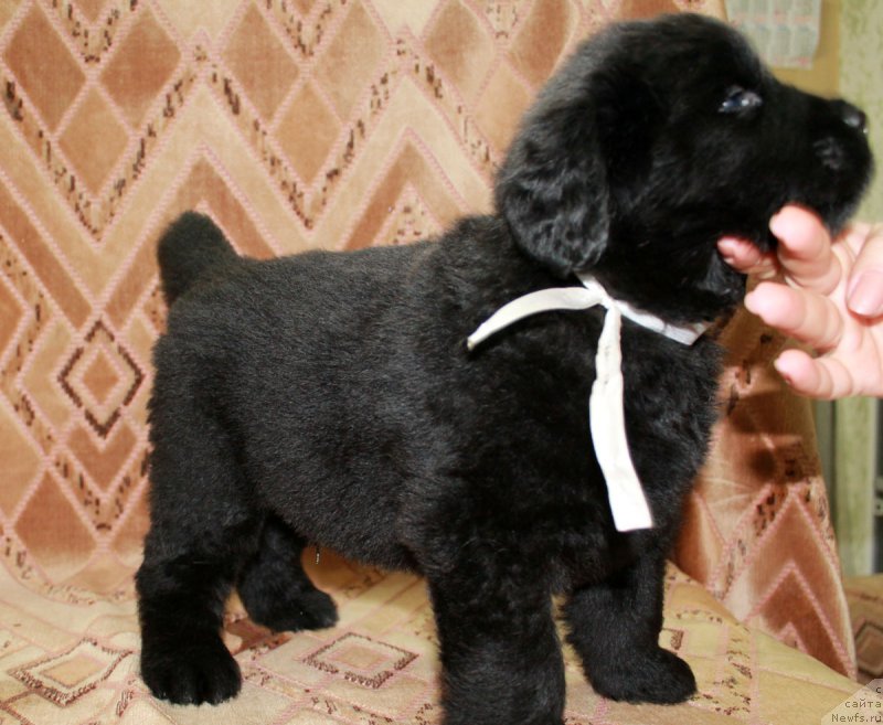 Фотография № 186220