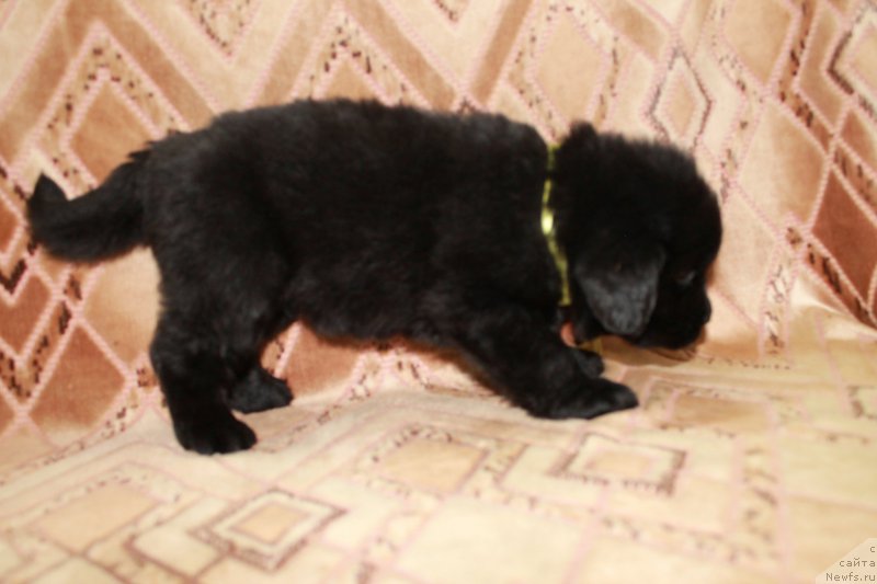 Фотография № 186224