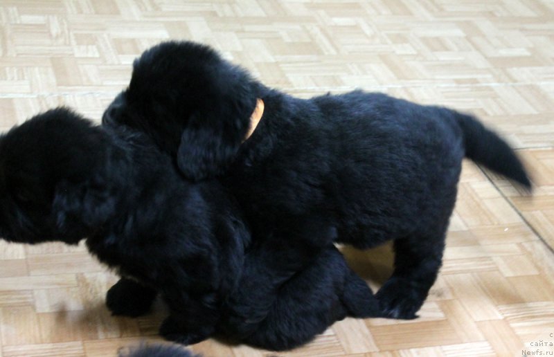 Фотография № 186233