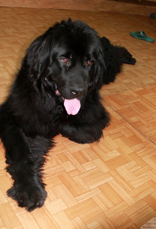 Фотография № 186234