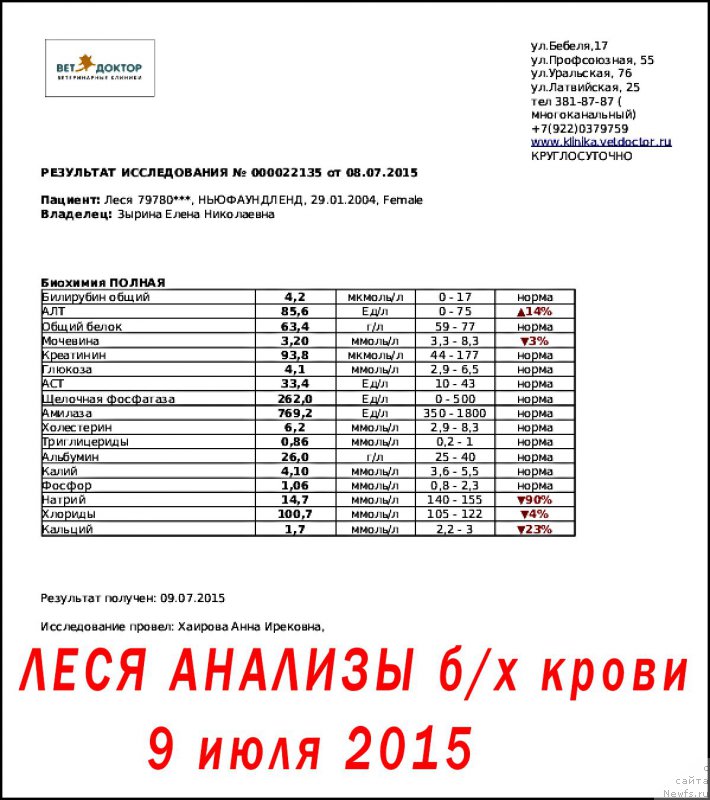 Фотография № 186279