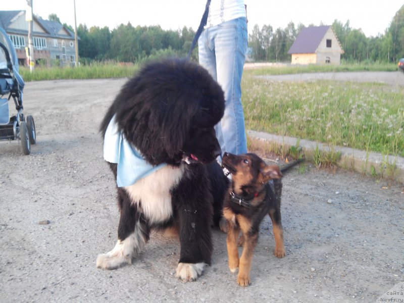 Фотография № 186285