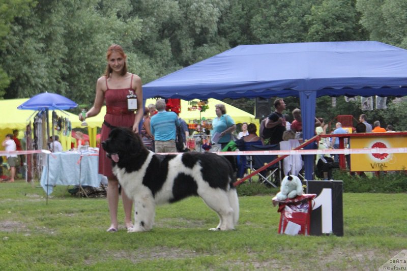 Фотография № 186293