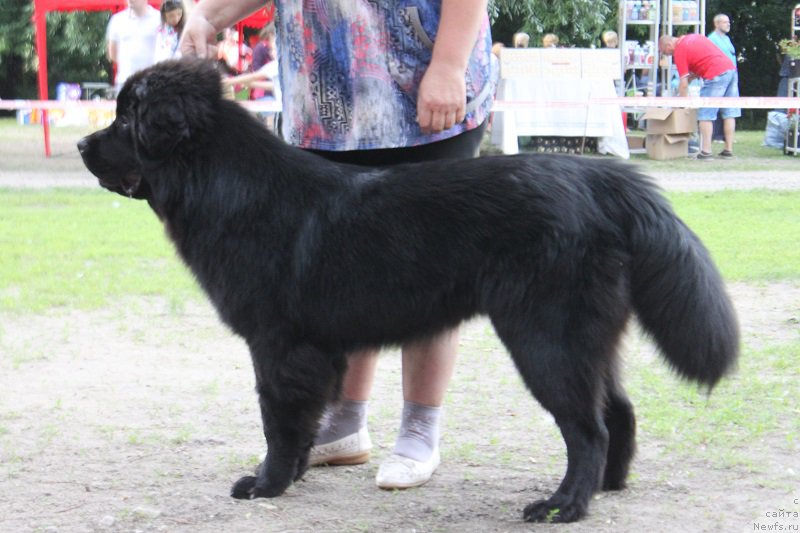 Фотография № 186296