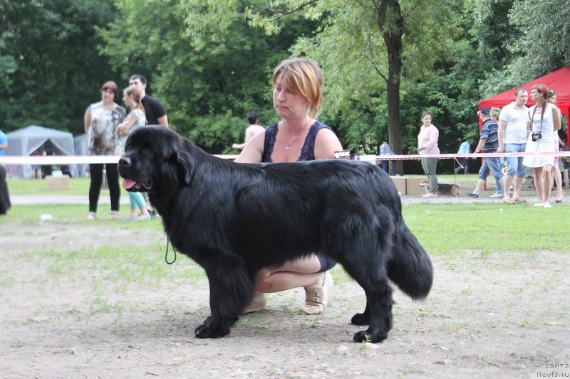 Фотография № 186304