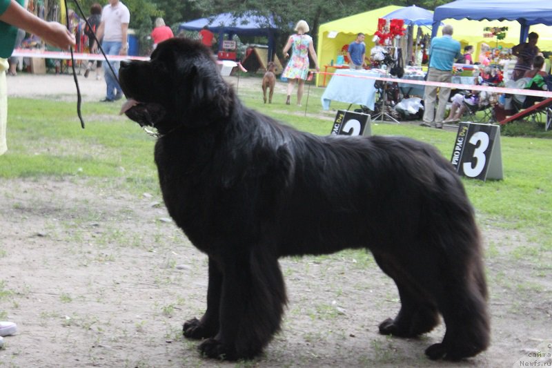 Фотография № 186305