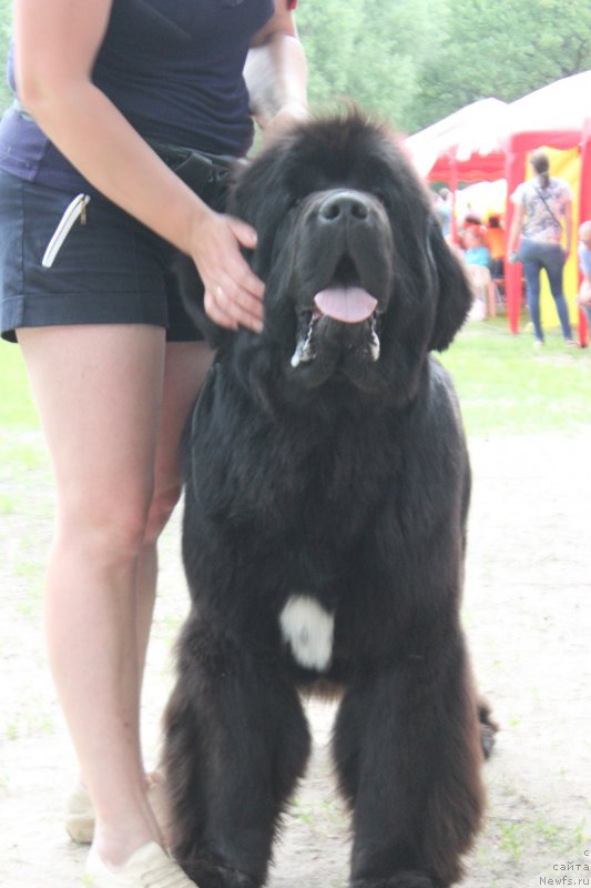 Фотография № 186306