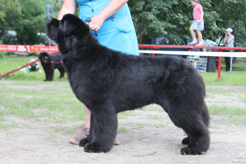 Фотография № 186307