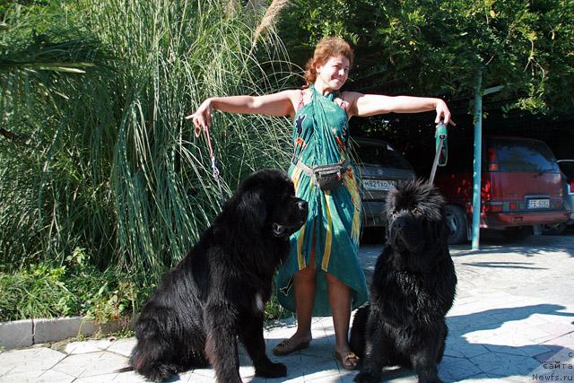 Фотография № 18631