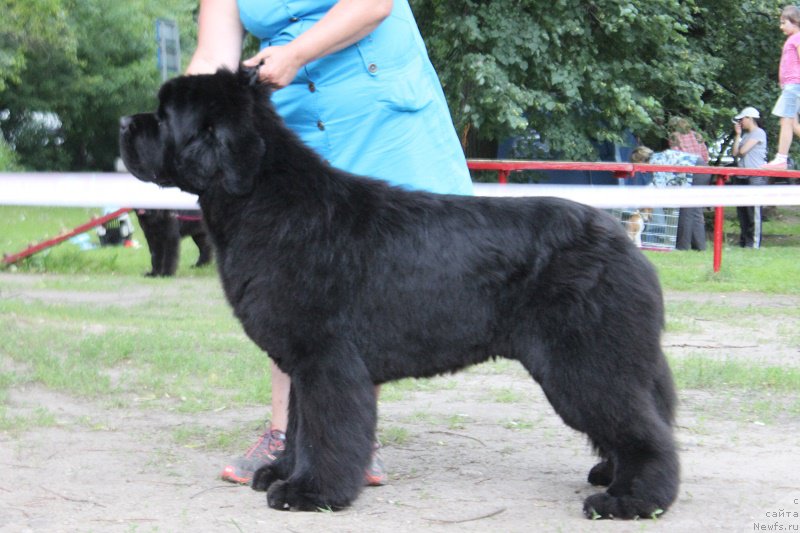 Фотография № 186313