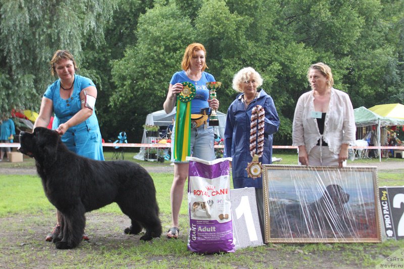 Фотография № 186314