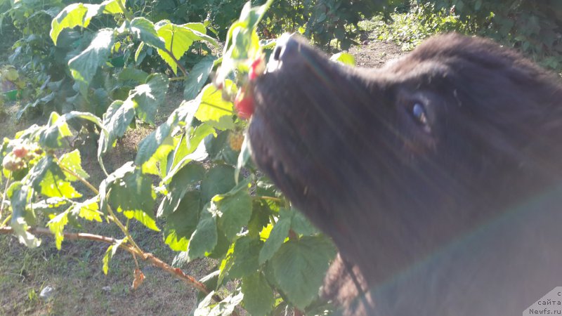 Фотография № 186319