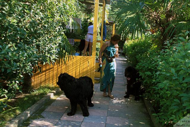 Фото: Две Белки и Фрей