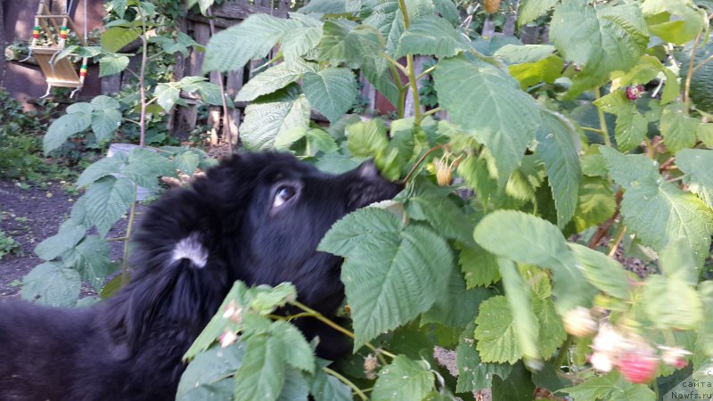 Фотография № 186321