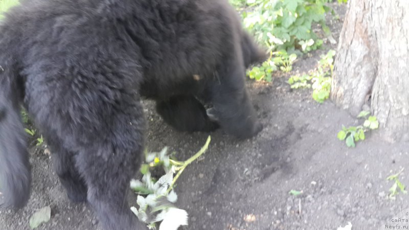 Фотография № 186322