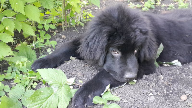 Фотография № 186325