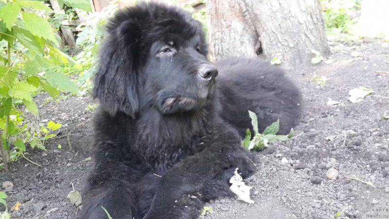 Фотография № 186327