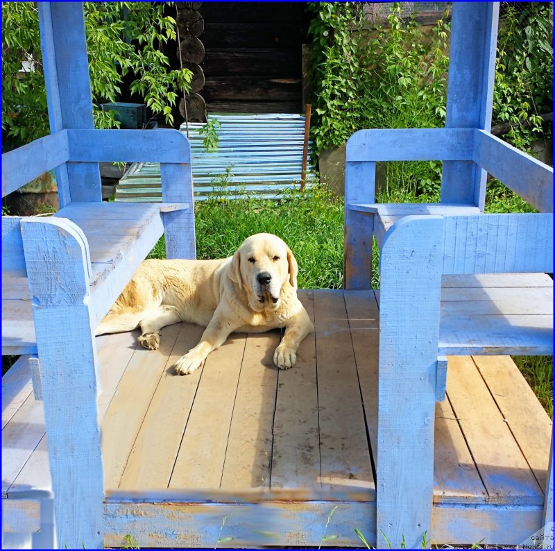 Фотография № 186332