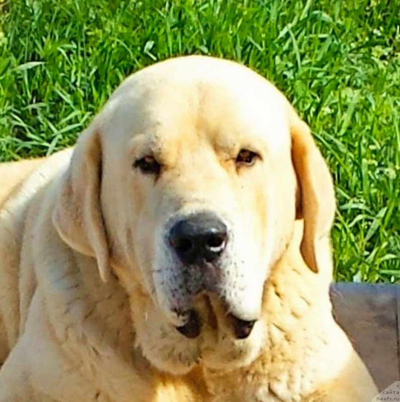 Фотография № 186336