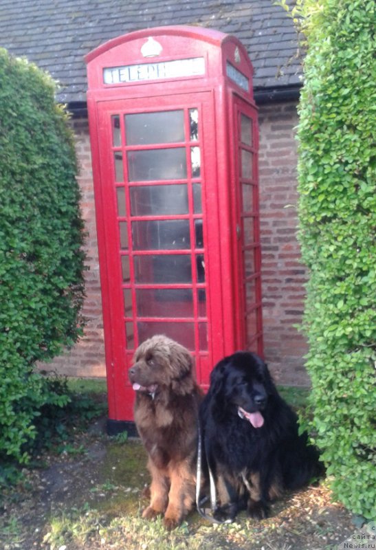 Фотография № 186348